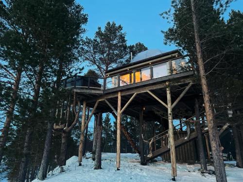 Rennebu Cabin | Jutulhytta
