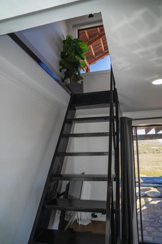 Nama Khoi Apartment | Kénōsis Guestfarm - Chalet