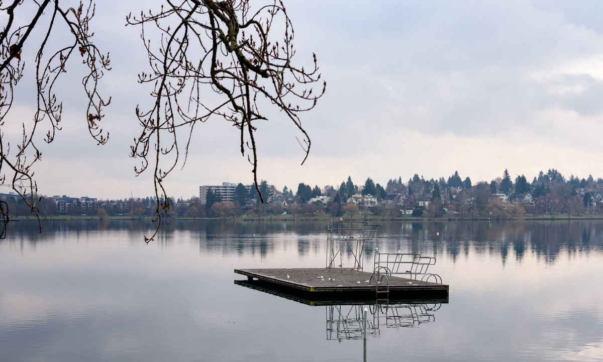 Phinney Ridge House | KABINO: Mini Modern TINY HOME Heart of Green Lake Pet Friendly WiFi Loft up Ladder plus Sleeper Sofa