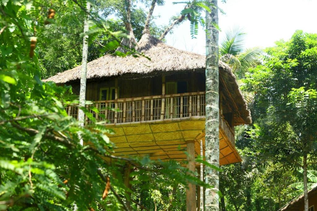 Kaimane Villa | Kalidasa Tree House and Villa,Wayanad