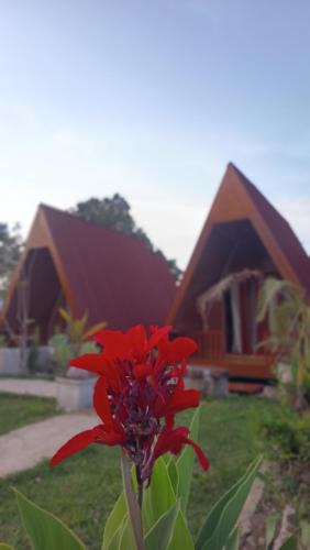 Lombok House | Kamar nomr03
