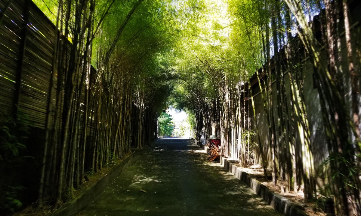 Padangsambian Villa | Kampoeng Bamboo w/Private Pool 50Mbps Internet