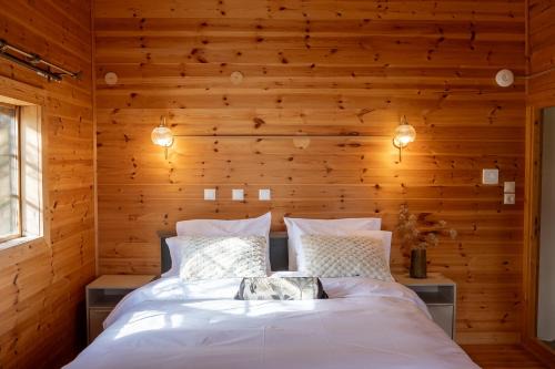 Synikia Mesi Trikalon Ski Chalet | karion houses