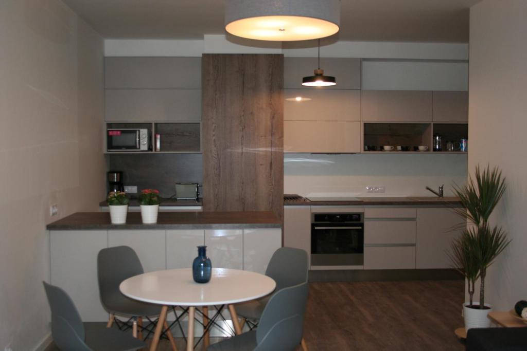Rohansky ostrov Apartment | Karlín Apartment