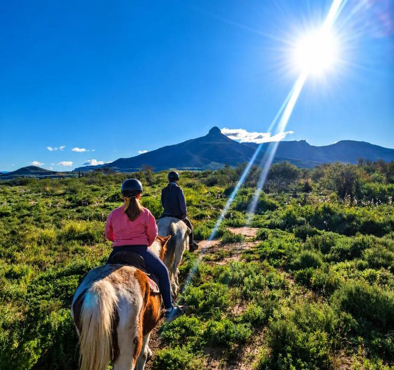 Graaff-Reinet House | Karoo Donkin