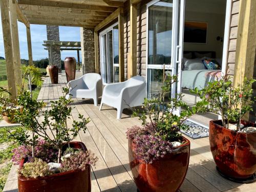 Te Arai Bed & Breakfast | Kauri Glen BnB