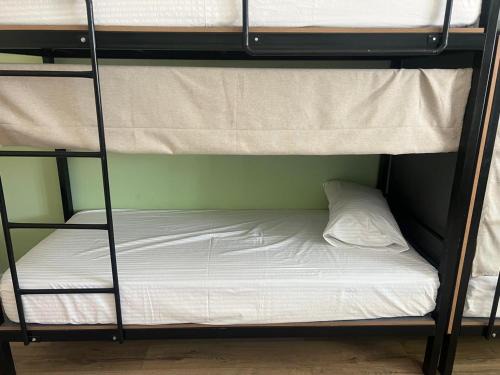 Shymkent Hostel | Khan
