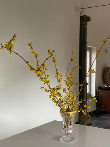 Borgloon Apartment | Kirisavan Loft