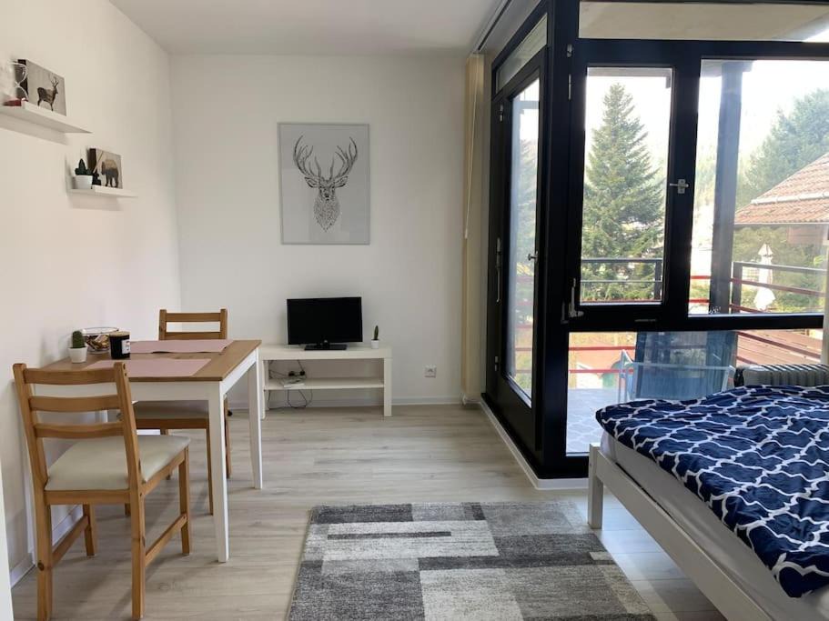 Bad Wildbad Apartment | Kleines Einzimmer-Apartment 23