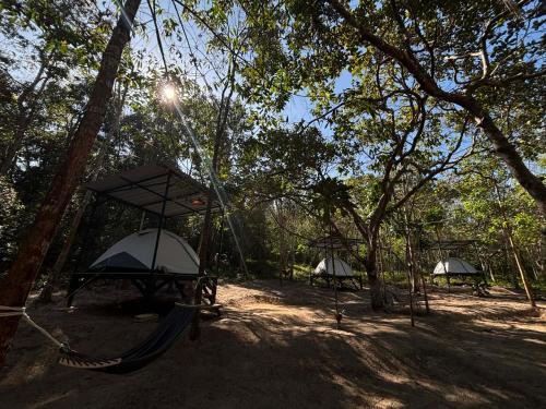 Ko Kood Other | Ko Kut Nature Camp