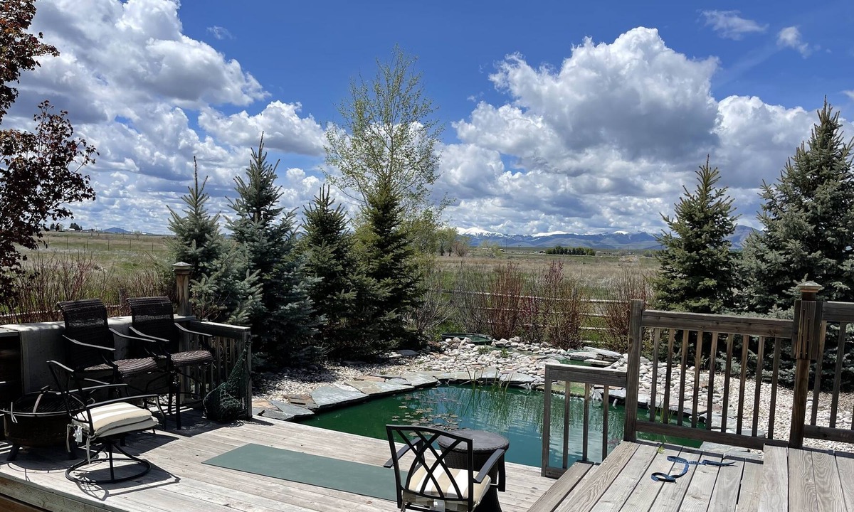 Arco House | Koi Paradise