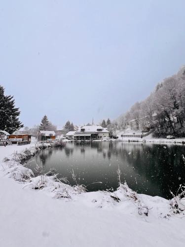 Cerklje ob Krki Hotel | Kozjanski dvor