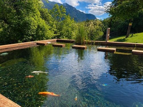 Salvan Apartment | L'Aiglon