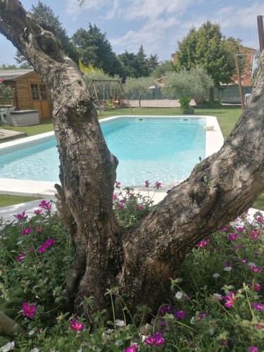 Cheval-Blanc House | L'atelier de Guytou et Spa