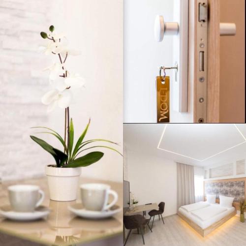 Metzingen Apartment | L-DOM