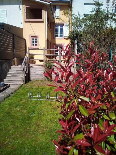 Sarrebourg Apartment | L'OASIS maisonnette centre ville 3 chambres terrasse espace vert privé parc sainte croix center parc 20 minutes