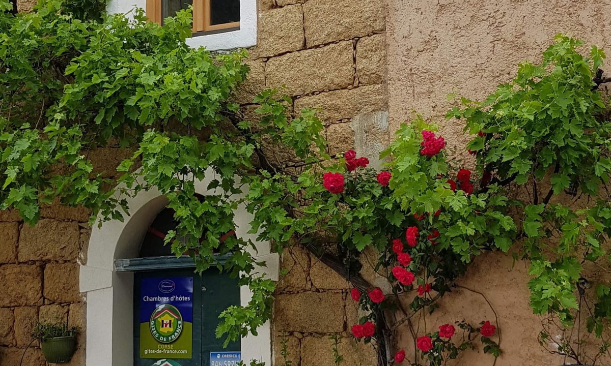 Figari Bed & Breakfast | L'Orca Di San Gavinu