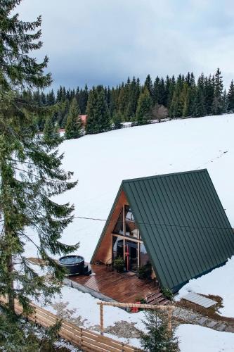 Marisel Ski Chalet | La Știubei Cabin