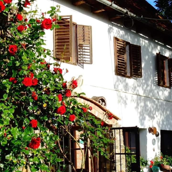 Ghioroc House | LA Amadeus & Monica
