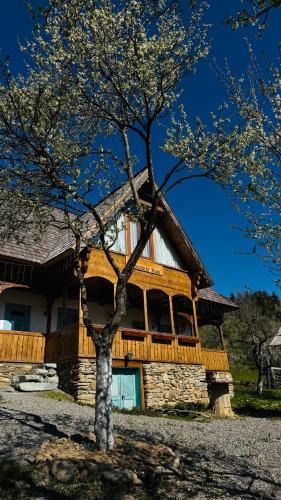 Borsa House | La bujda lu mosu