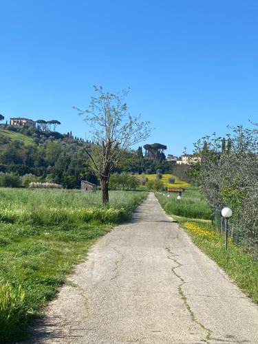Florence House | La camera nel verde