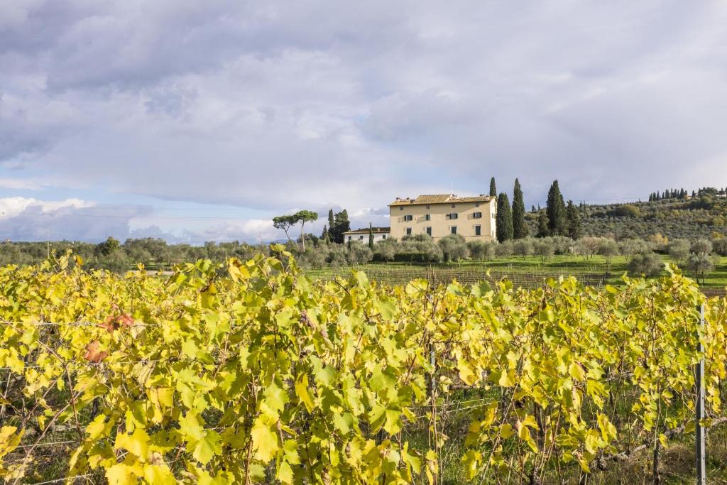 Scandicci House | La Capannaccia