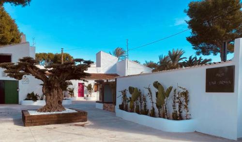 Santomera House | La Casa de Doña Carmen