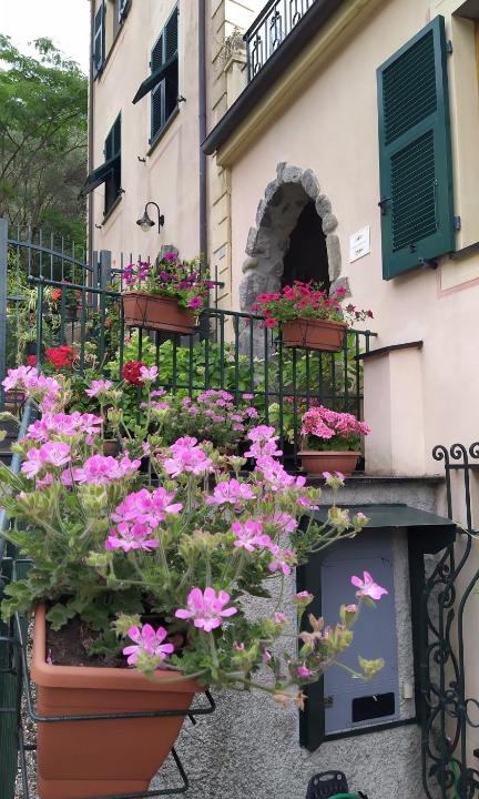 Carasco Apartment | La Casa Dell'Arco
