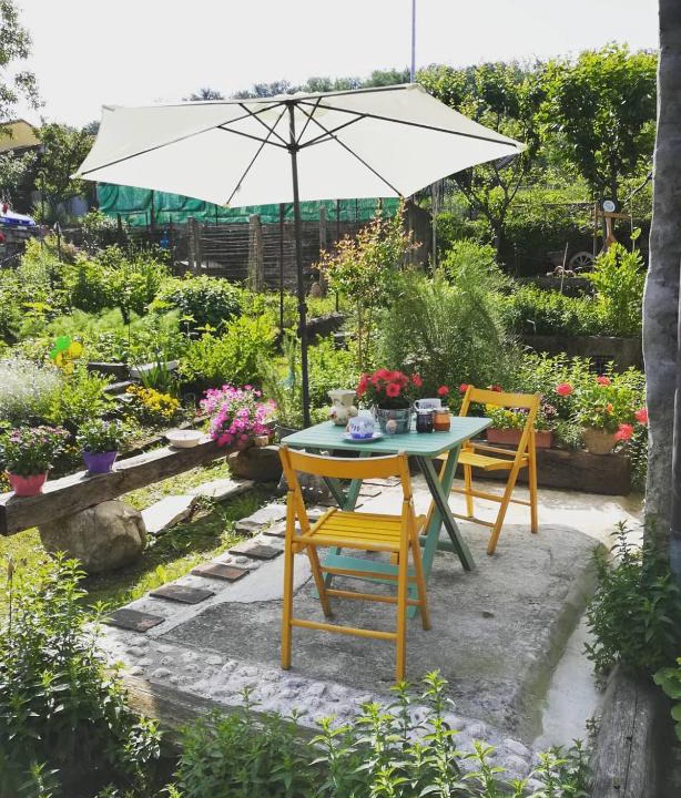 Tarzo House | La casa dell'Olmo