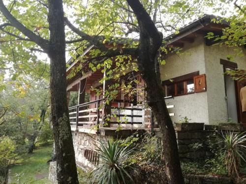 Salo Ski Chalet | La casetta nel bosco