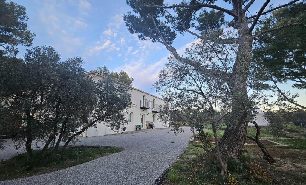 Pelissanne Apartment | La Cayon Au coeur des oliviers en Provence