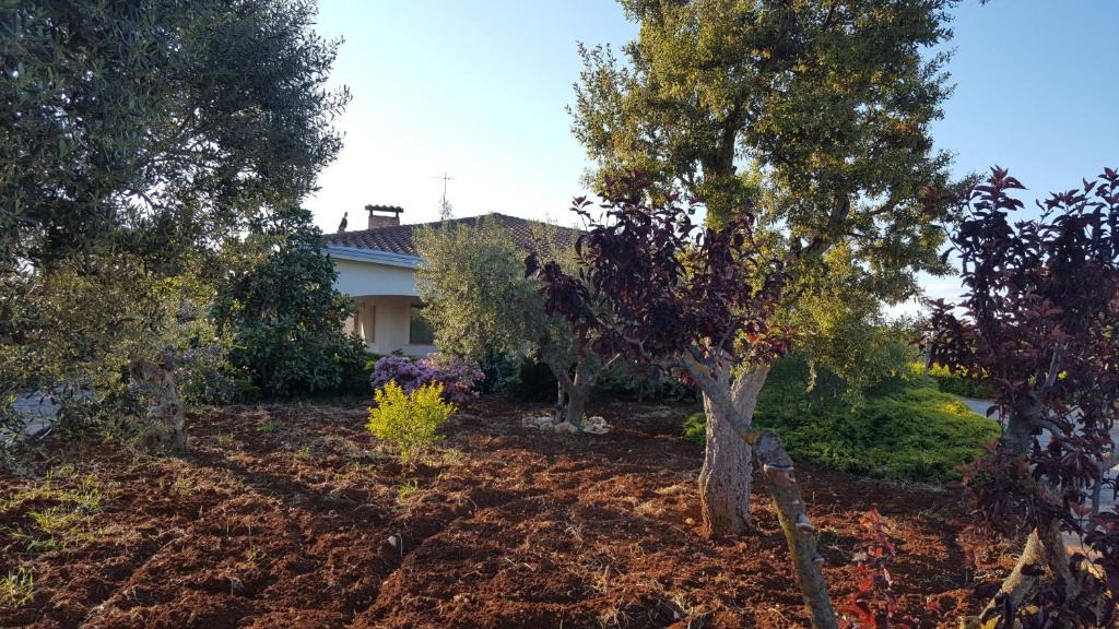 Conversano Villa | La civetta Rodonisa