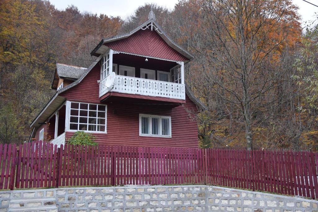 Lepsa House | La Coama Padurii