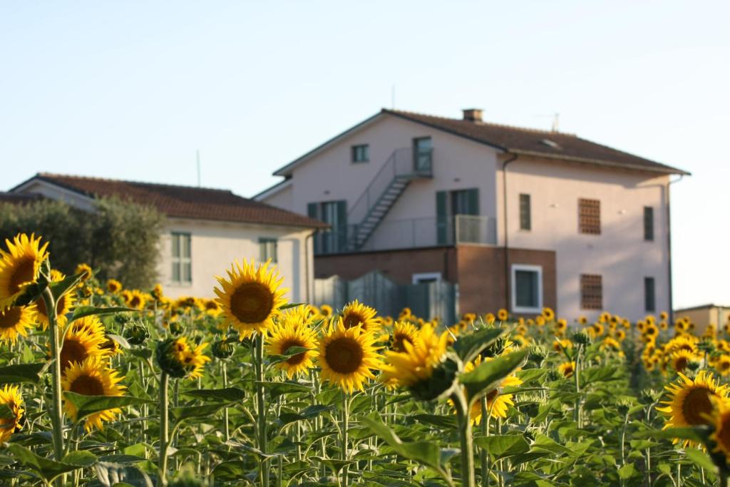 Montecastrilli House | La Collina del Girasole