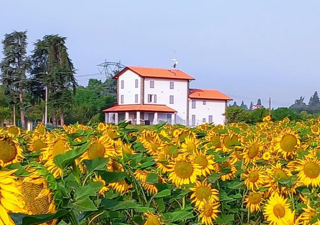 Crespellano Bed & Breakfast | La collinetta B&B