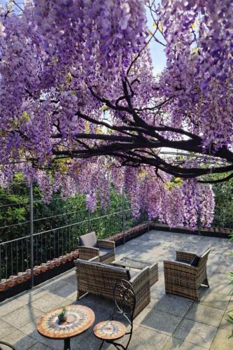 Albavilla House | La Corte dei Tre Nidi