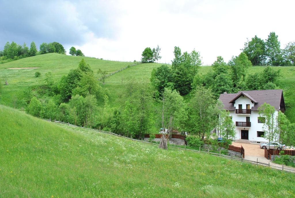 Bran Villa | La Craita