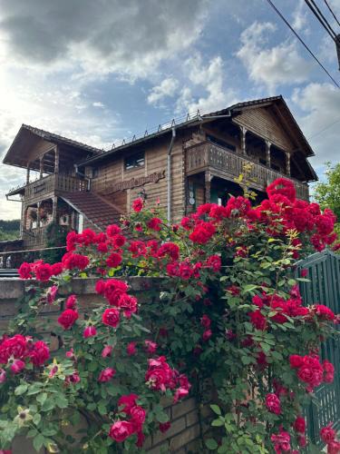 Lapus Apartment | La Curtea Veche