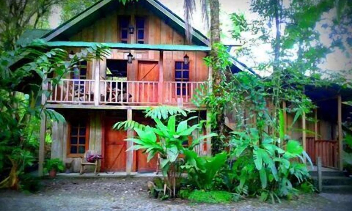 Quebrada La Gamba Cabin | La Gamba Rainforest Lodge