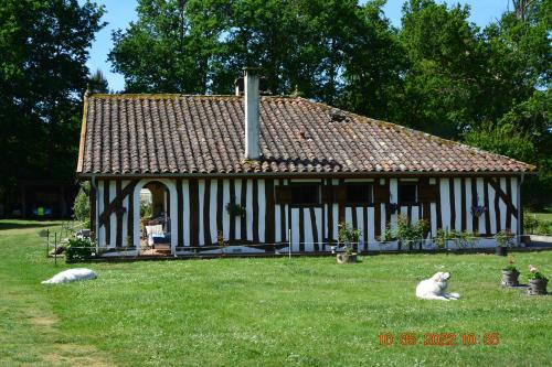 Callen Bed & Breakfast | LA GRANDE JAOUGUE