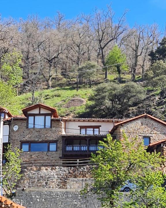 Bores House | La Indefinida