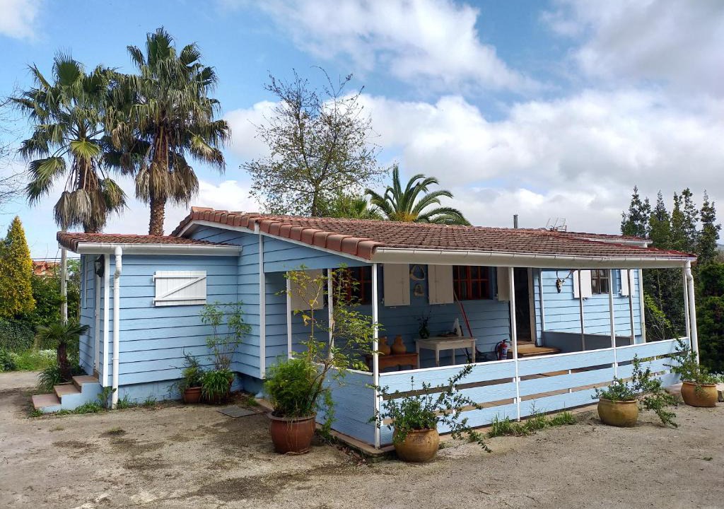 Arce House | La isla de las sirenas