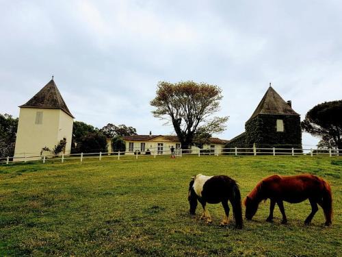 Soulignac House | La Jouissiere