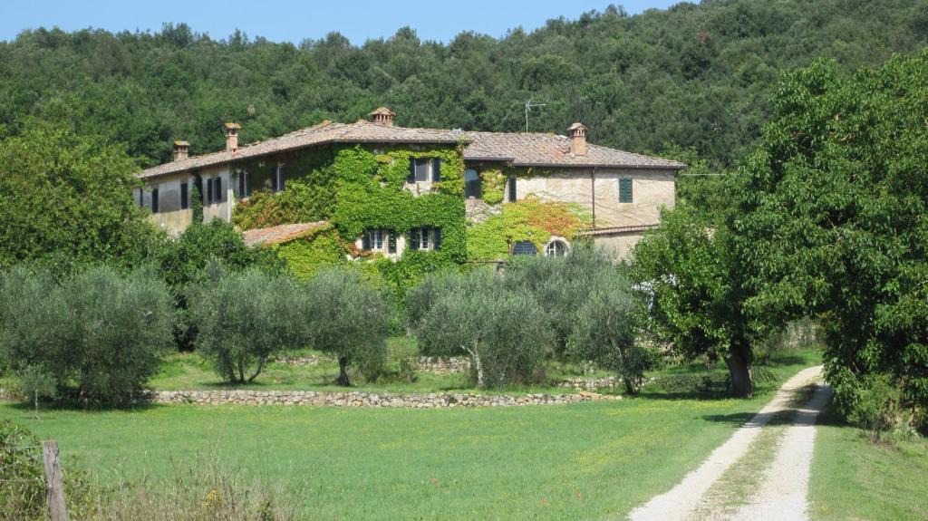 Siena Apartment | La Locaia