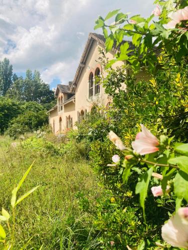 Courcival House | La Maison Sycomorette