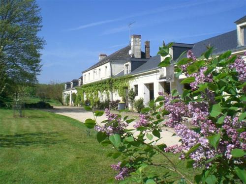 Jarze Bed & Breakfast | La Mesnagerie
