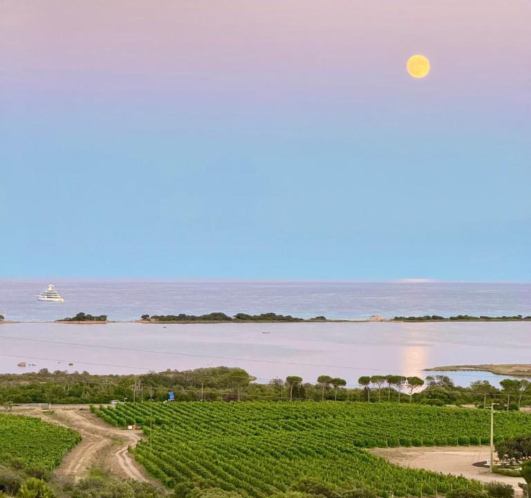 San Teodoro Bed & Breakfast | La Minditta