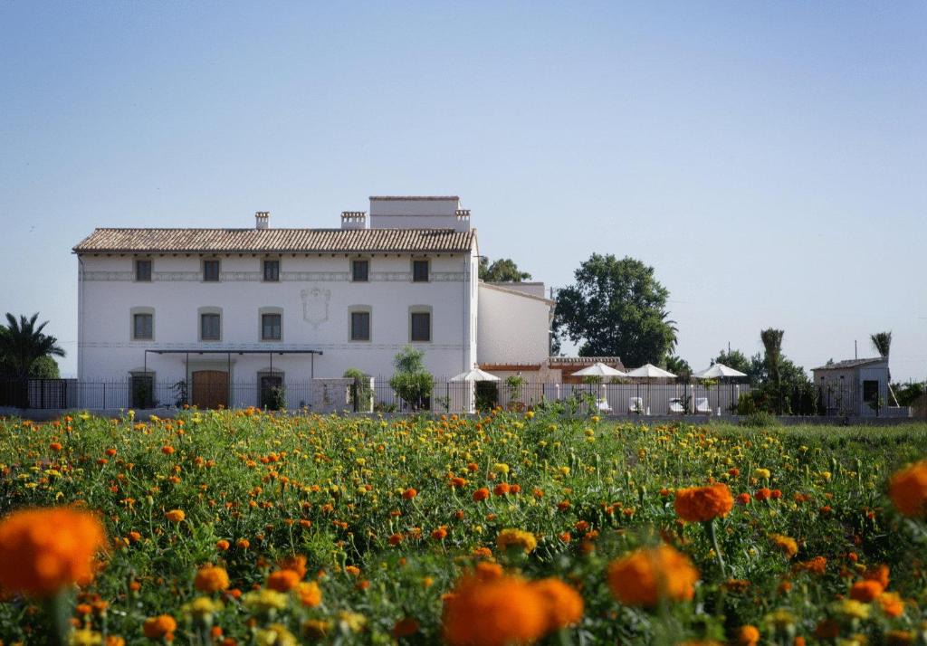 Alboraya Hotel | La Mozaira