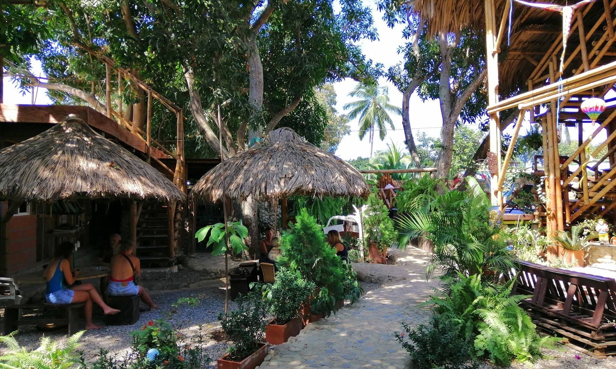 Palomino Hostel | La Natura Hostel