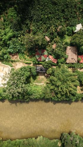 Guachaca Hostel | La Playita